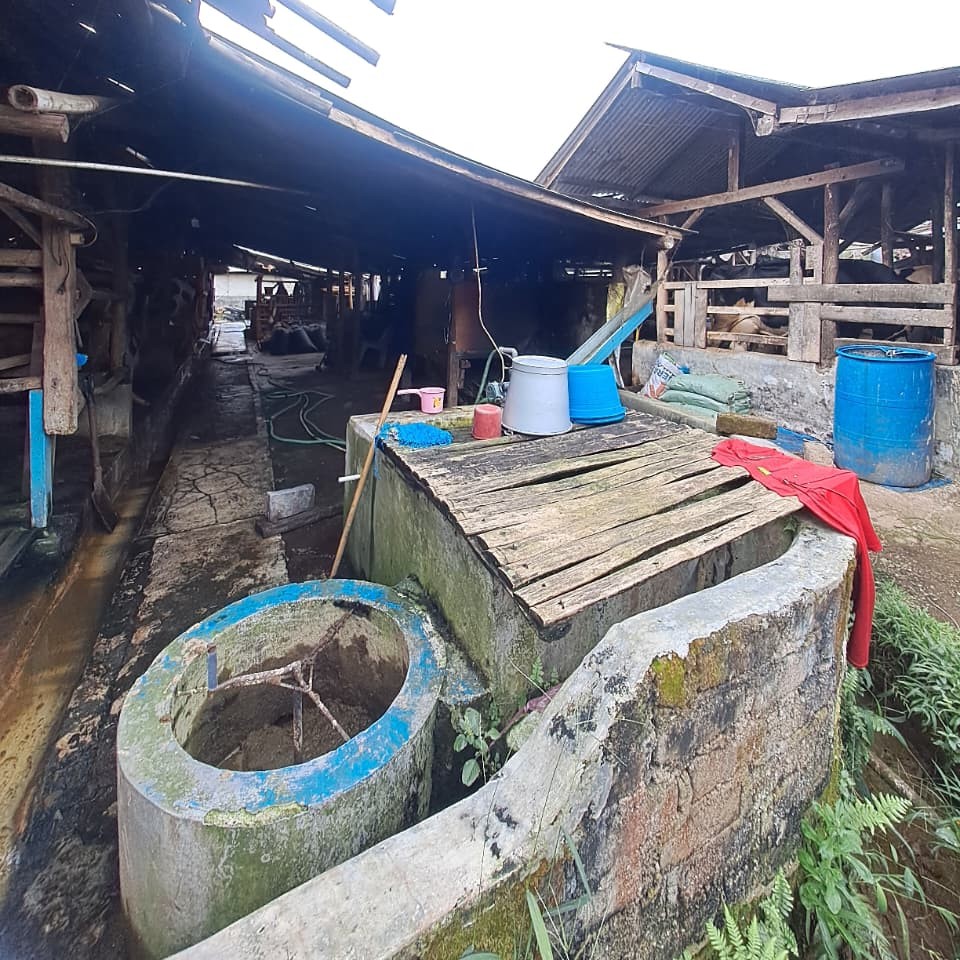 Biogas