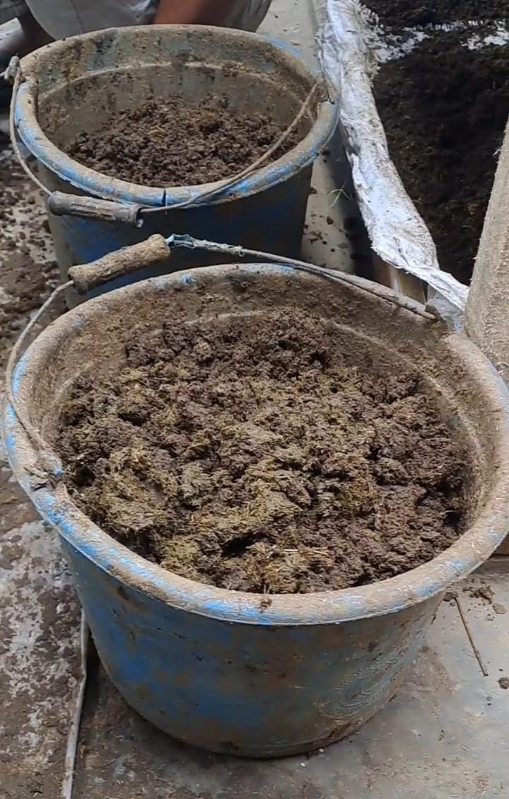 Proses Pengepakan